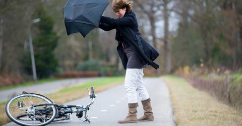 Vrouw met paraplu van fiets gevallen door storm